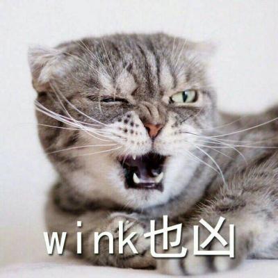 奶凶猫咪带字高清头像