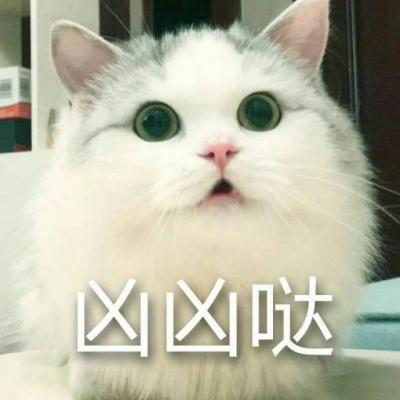 奶凶猫咪带字高清头像