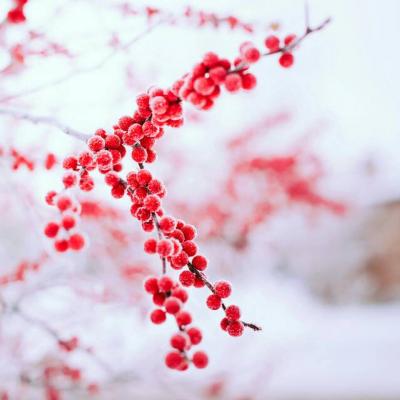 微信意境深远唯美风景头像