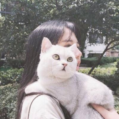 女孩与猫治愈头像图片