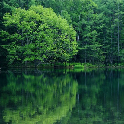 微信大自然唯美治愈风景头像