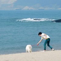 男生海边清新唯美头像