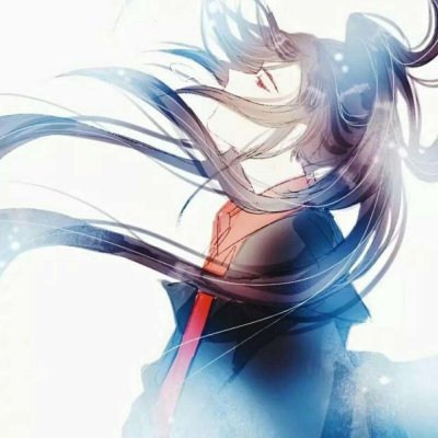 魔道祖师一左一右动漫兄弟基友情头