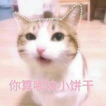 猫咪高清带字可爱头像