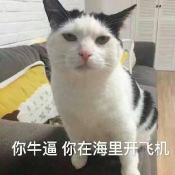 猫咪高清带字可爱头像