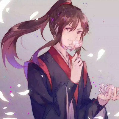 魔道祖师一左一右动漫兄弟基友情头