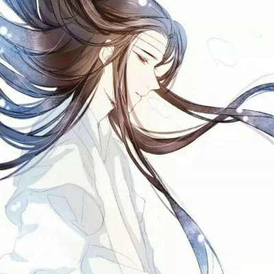 魔道祖师一左一右动漫兄弟基友情头