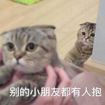 猫咪高清带字可爱头像