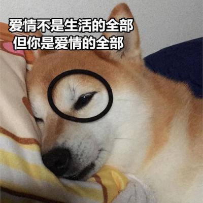 搞笑狗狗带字头像图片