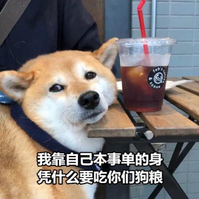 搞笑狗狗带字头像图片