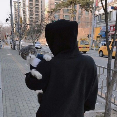 男生抱猫头像真人不露头