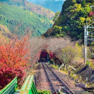 简约唯美淡雅风景头像图片