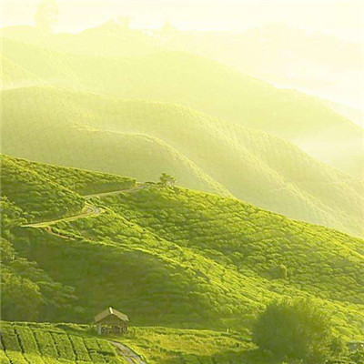 真实高清好运风景头像