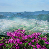 适合手机头像的风景图片