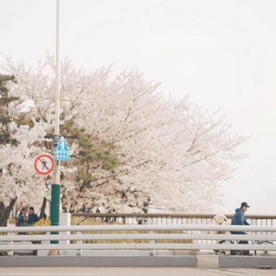 微信文艺小清新干净头像图片