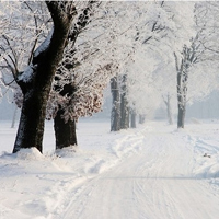 精美QQ头像雪景图片