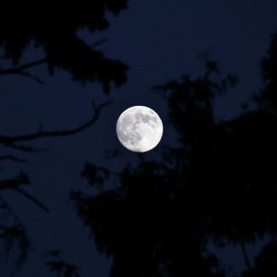 夜空中圆圆的月亮微信头像图片